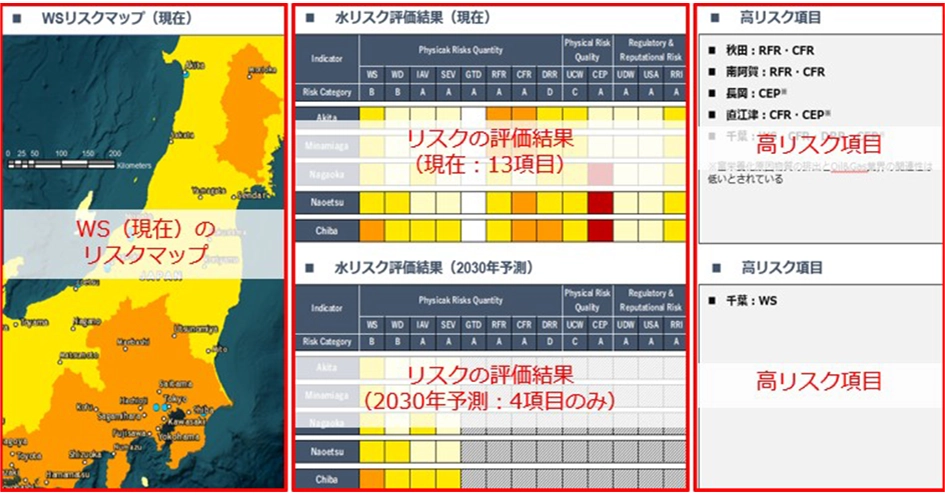 リスク評価結果に関連するさまざまなグラフとデータの視覚化を示すスクリーンショットのコラージュ。